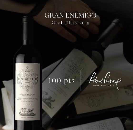 Vinho Gran Enemigo Gualtallary 2019 Safra Premiada 100 Pts