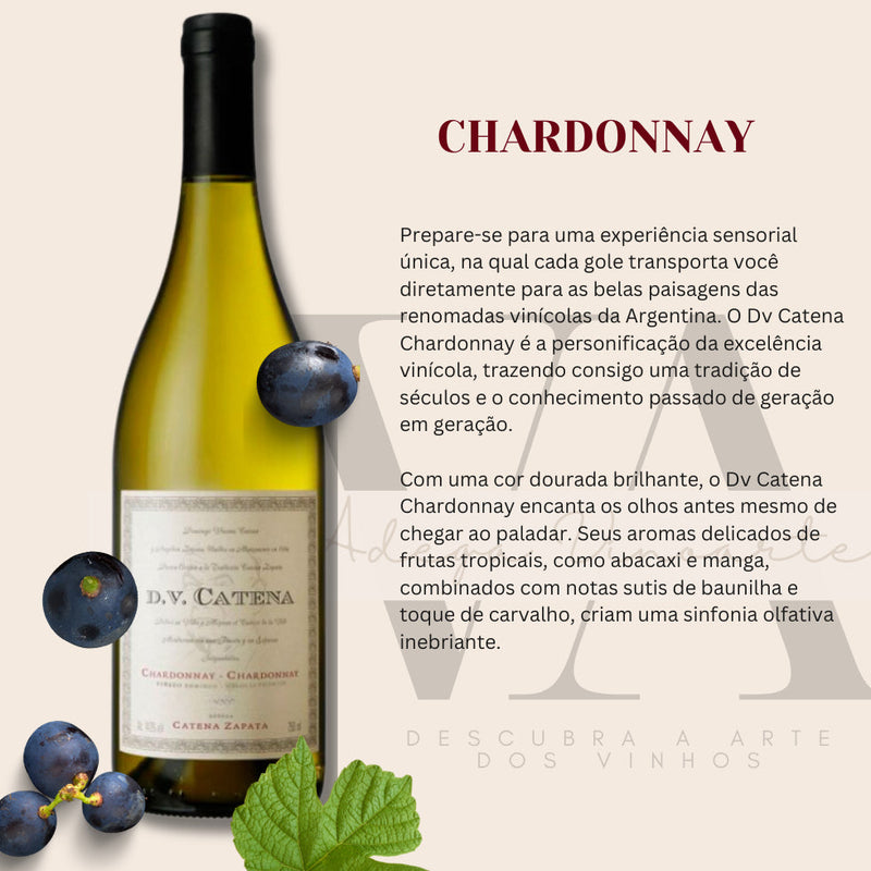 Kit  3 Vinhos Argentino Dv Catena Chardonnay  - 750ml